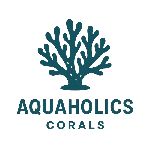 Aquaholics Corals